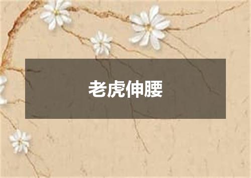 老虎伸腰
