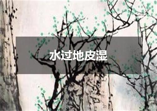 水过地皮湿