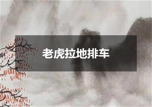 老虎拉地排车