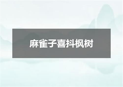 麻雀子喜抖枫树