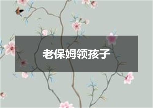 老保姆领孩子