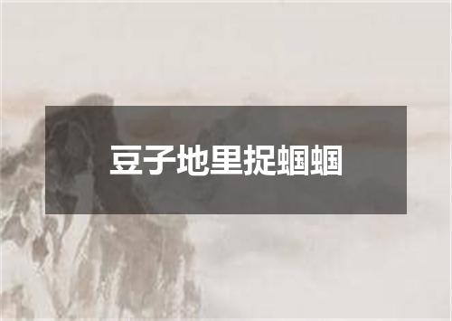 豆子地里捉蝈蝈