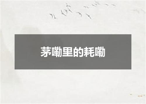 茅嘞里的耗嘞