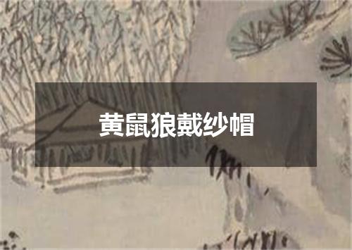 黄鼠狼戴纱帽