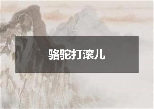 骆驼打滚儿