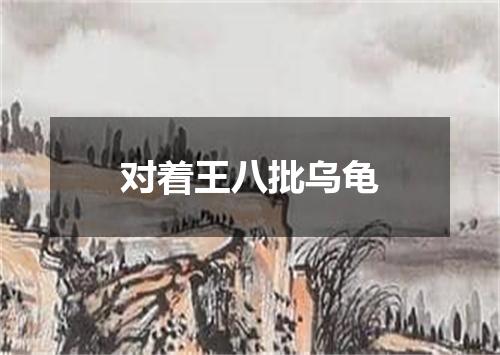 对着王八批乌龟
