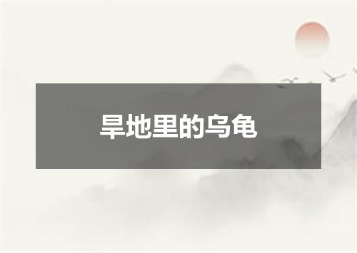 旱地里的乌龟