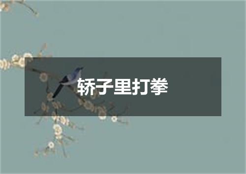 轿子里打拳