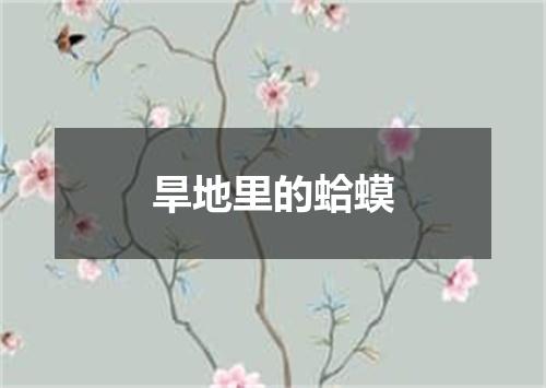 旱地里的蛤蟆