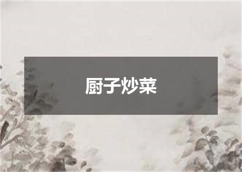 厨子炒菜