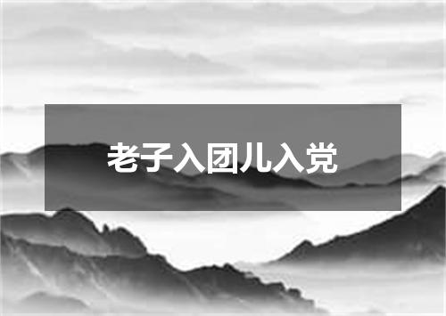 老子入团儿入党