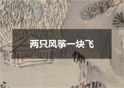 两只风筝一块飞