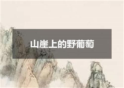 山崖上的野葡萄