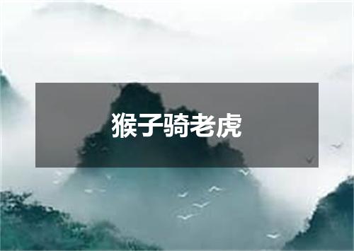 猴子骑老虎