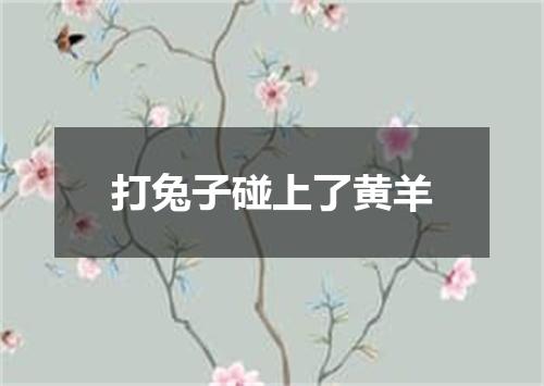 打兔子碰上了黄羊