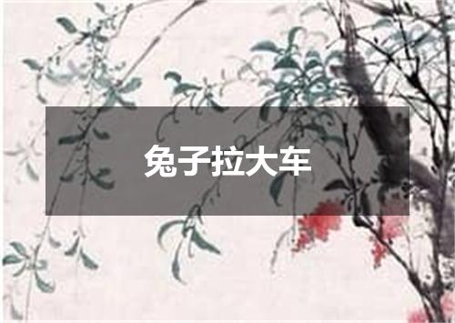 兔子拉大车