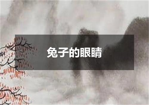 兔子的眼睛