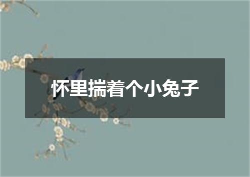 怀里揣着个小兔子