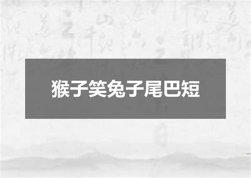 猴子笑兔子尾巴短