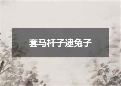 套马杆子逮兔子