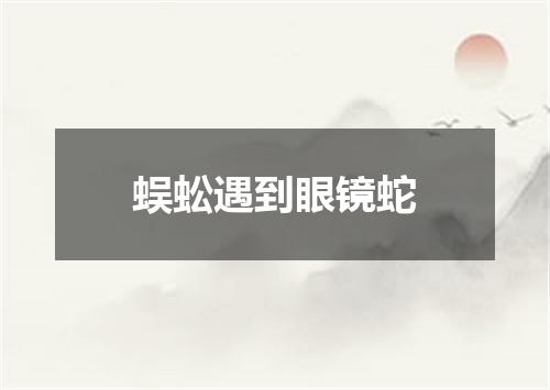 蜈蚣遇到眼镜蛇