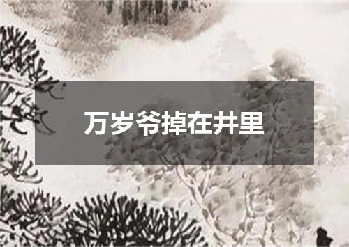 万岁爷掉在井里