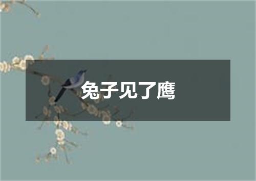 兔子见了鹰