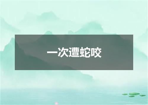 一次遭蛇咬