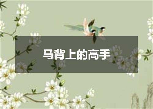 马背上的高手