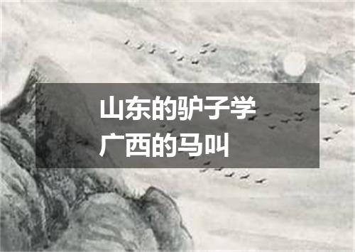 山东的驴子学广西的马叫