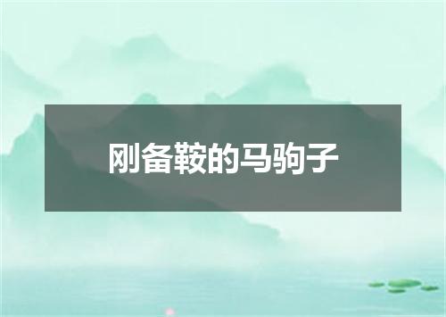 刚备鞍的马驹子
