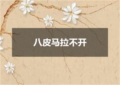 八皮马拉不开