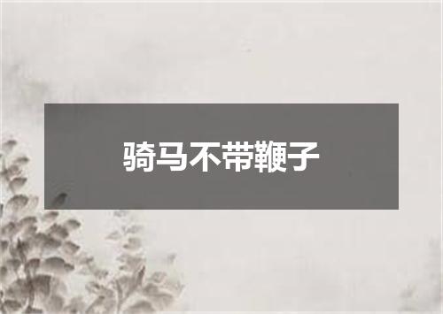 骑马不带鞭子