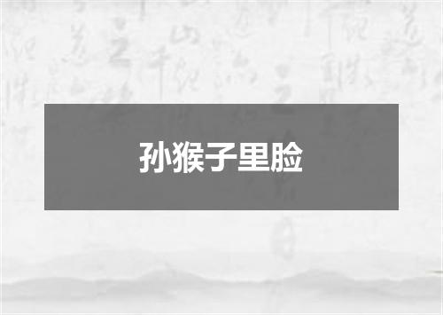 孙猴子里脸