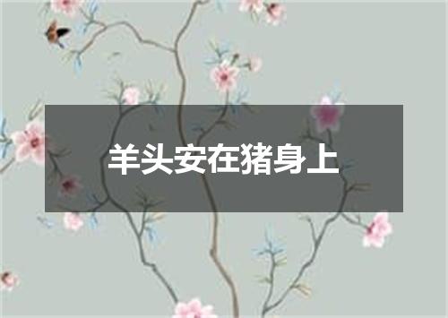 羊头安在猪身上