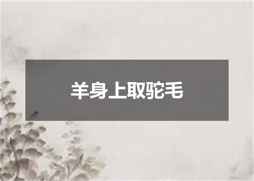 羊身上取驼毛