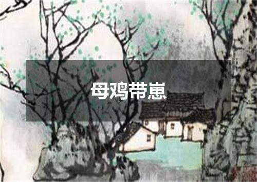 母鸡带崽