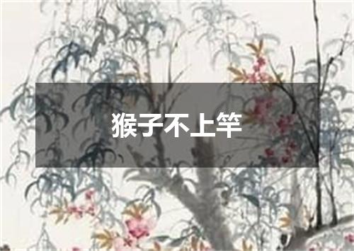 猴子不上竿