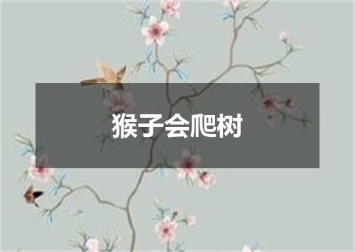 猴子会爬树