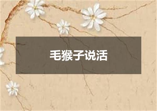 毛猴子说活