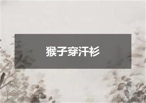 猴子穿汗衫