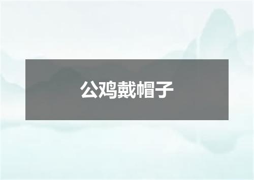 公鸡戴帽子