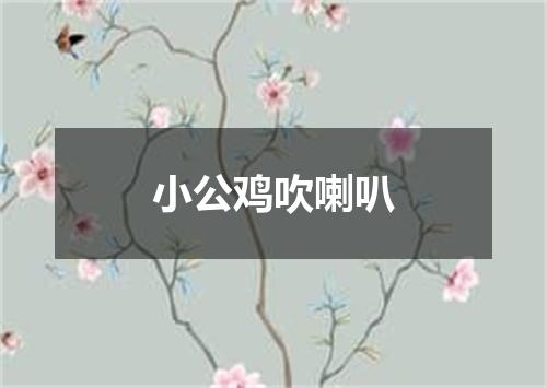 小公鸡吹喇叭