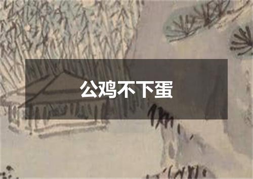 公鸡不下蛋