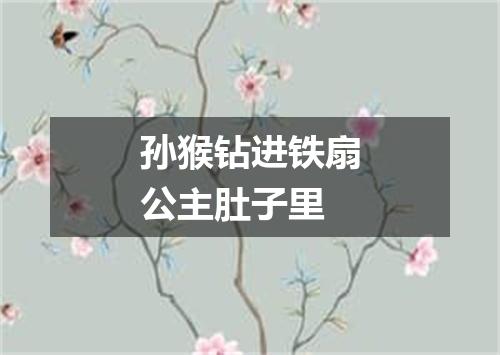 孙猴钻进铁扇公主肚子里