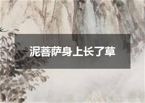 泥菩萨身上长了草