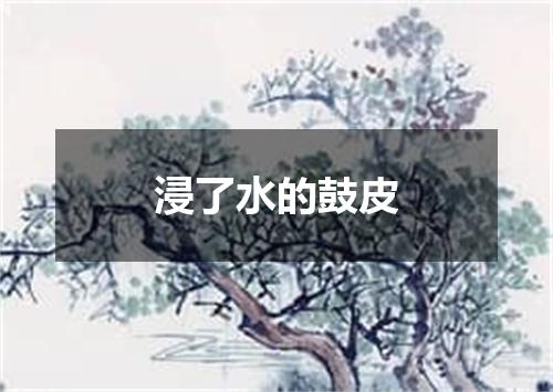 浸了水的鼓皮