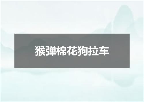 猴弹棉花狗拉车