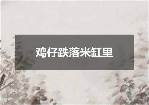 鸡仔跌落米缸里