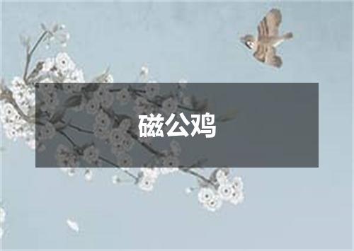 磁公鸡